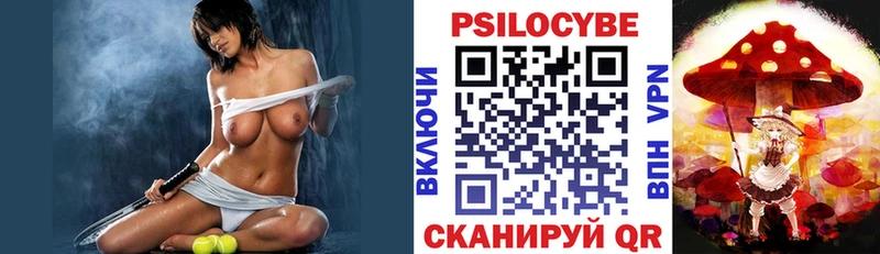 Купить где  Бердск  Галлюциногенные грибы Psilocybe 